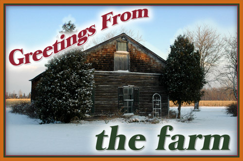 Greetings from Fireflys Farm