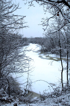 Fireflys river on a snow day this winter